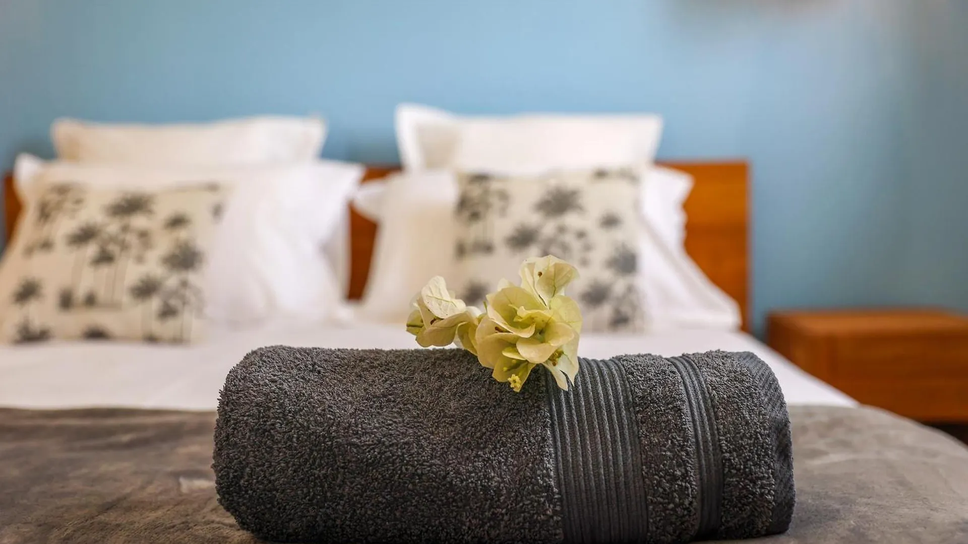 Villa Kaza Zen, Detente Et Bien Etre Le Gosier